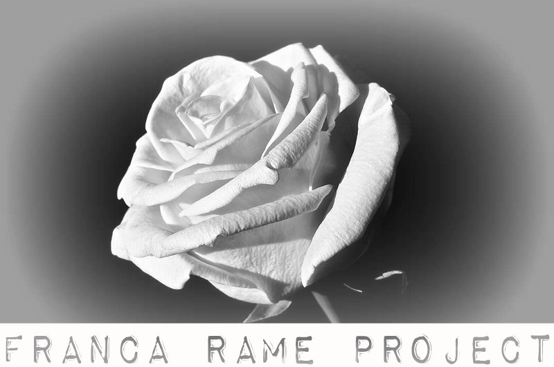 Franca Rame Project_rosa bianca_contro la violenza_dale zaccaria