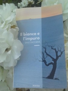 Il bianco e l'impuro dale zaccaria (4)